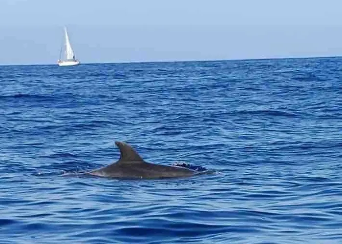 アパート House With Jacuzzi In アデヘ