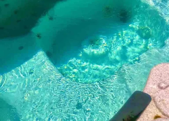 House With Jacuzzi In Apartamento